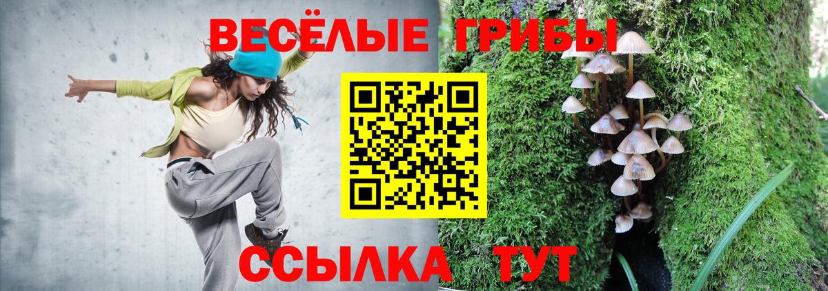 Псилоцибиновые грибы прущие грибы  Вход с VPN  Псилоцибиновые грибы прущие грибы  Владимир 