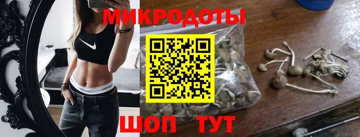 Псилоцибиновые грибы прущие грибы Владимир